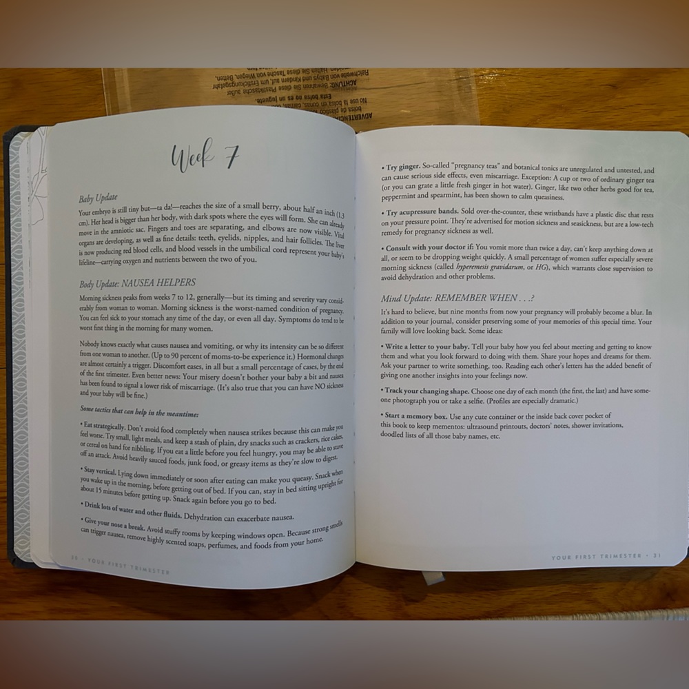 Pregnancy Journal - Picture 4 of 4